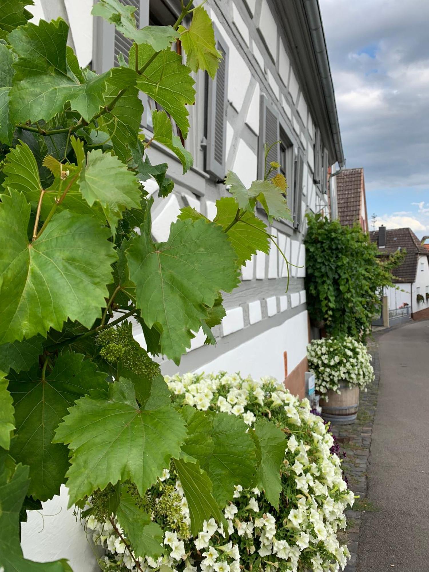 Ferienwohnung Sambachhaus Gleiszellen-Gleishorbach Exteriör bild