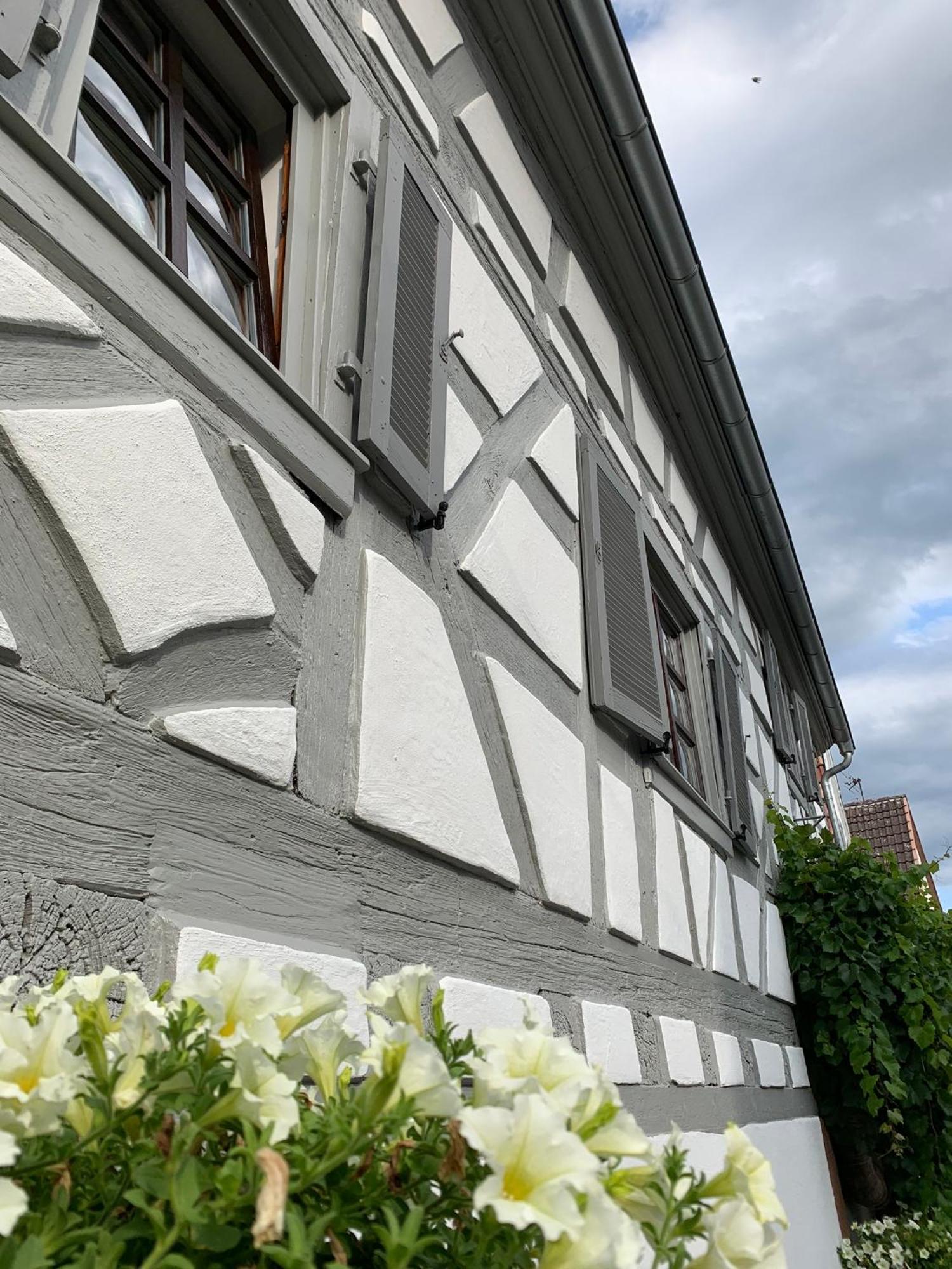 Ferienwohnung Sambachhaus Gleiszellen-Gleishorbach Exteriör bild