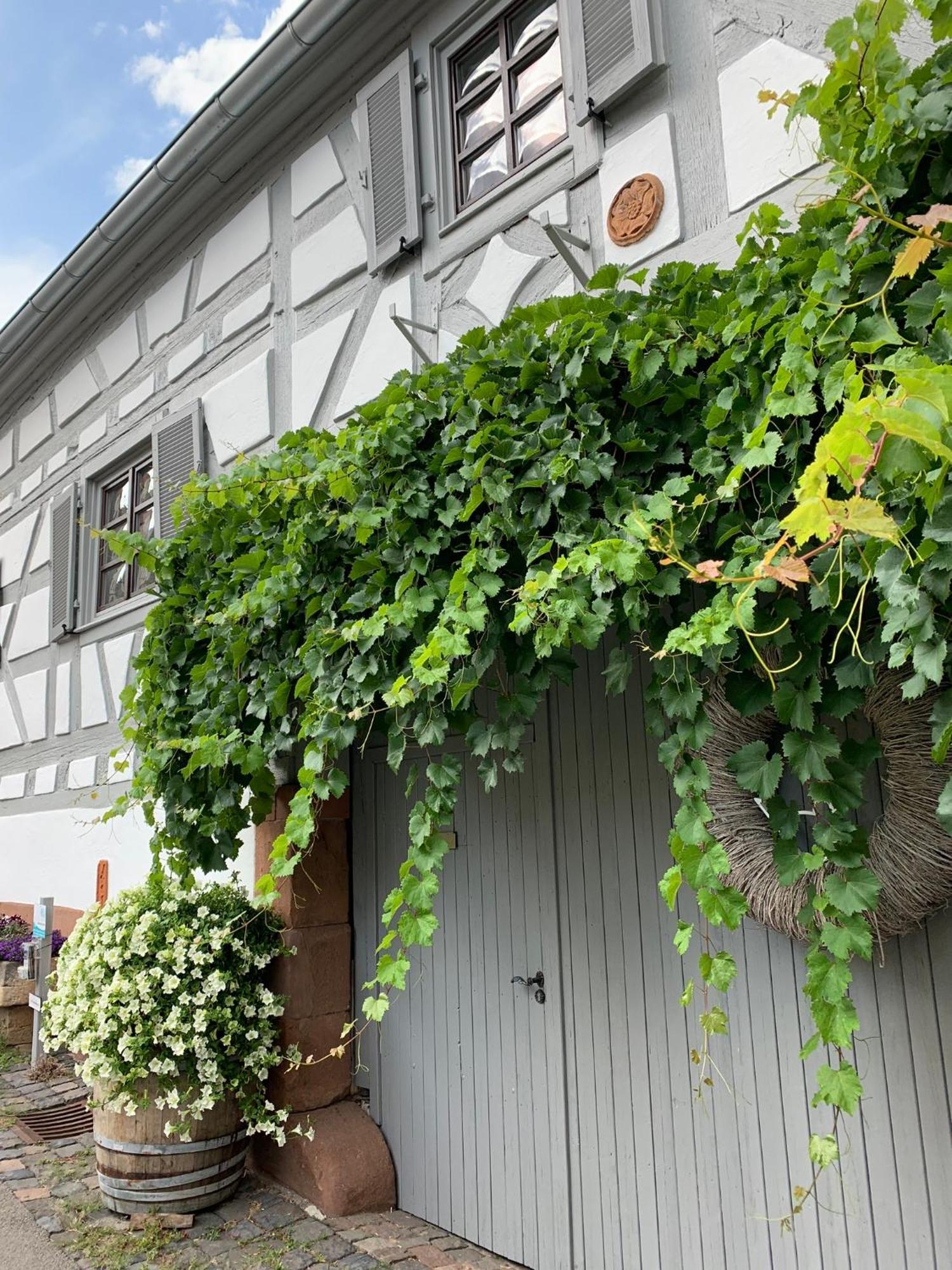 Ferienwohnung Sambachhaus Gleiszellen-Gleishorbach Exteriör bild
